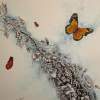 Monarch Butterfly - Ink And Water Colors Drawings - By Tom Rechsteiner, Nature Drawing Artist